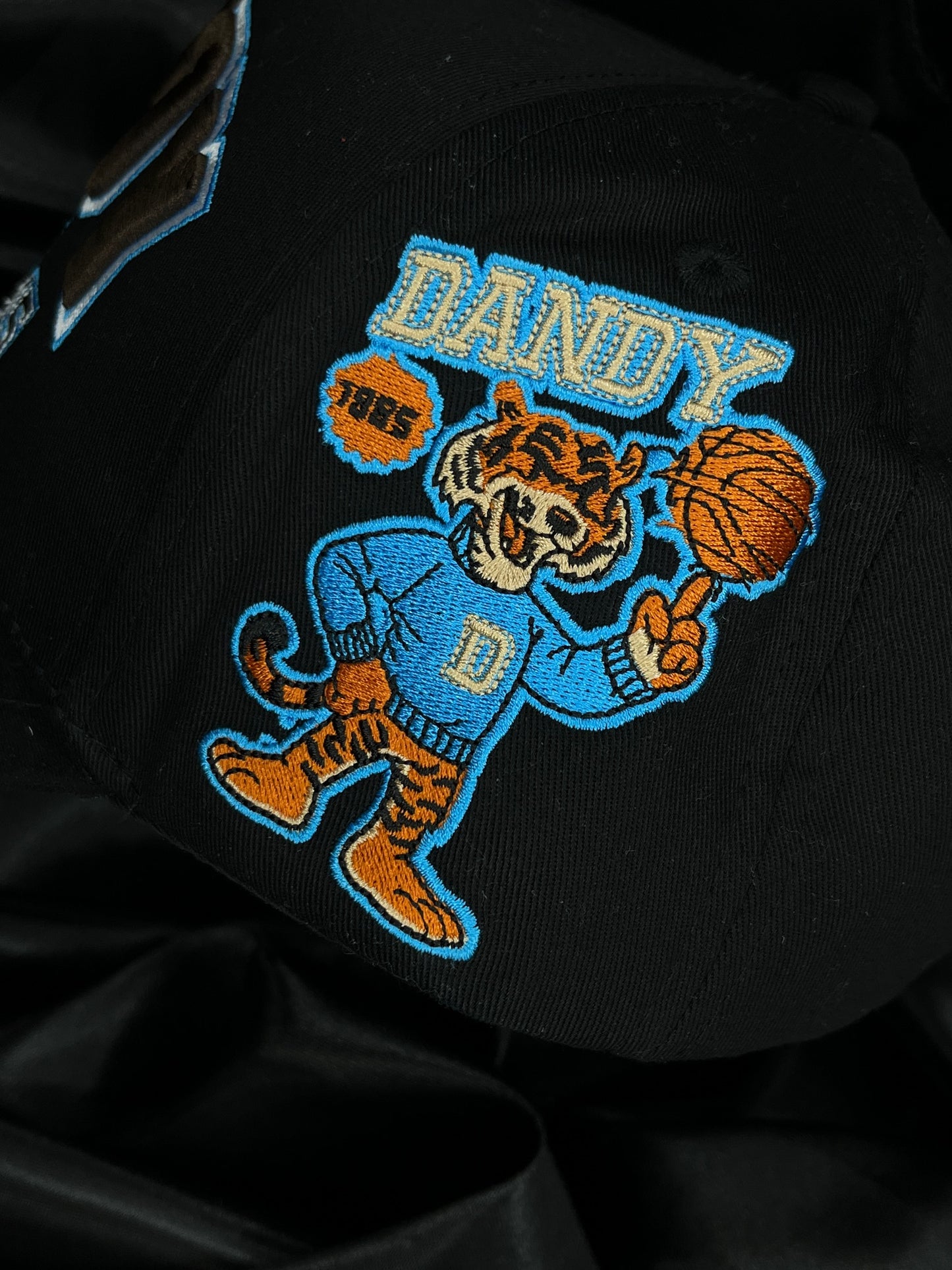 DANDY UNIVERSITY USA