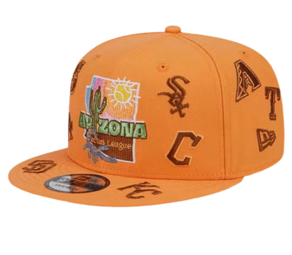 NEW ERA ARIZONA