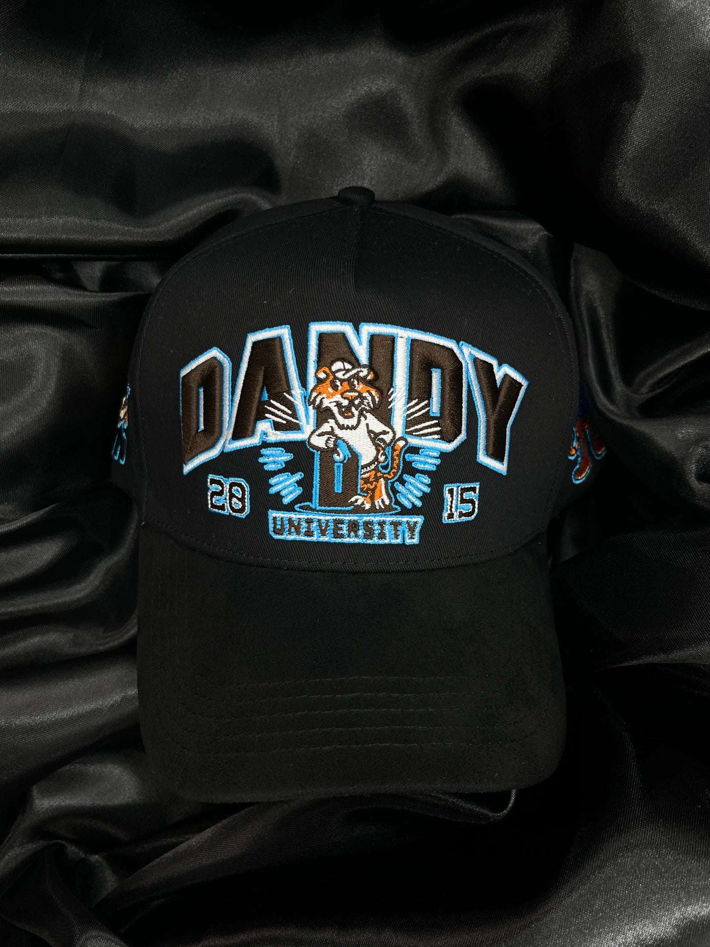 DANDY UNIVERSITY USA