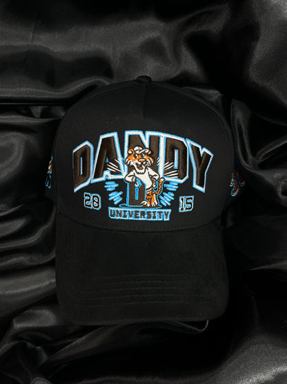 DANDY UNIVERSITY USA