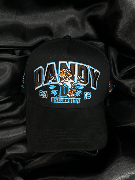 DANDY UNIVERSITY USA