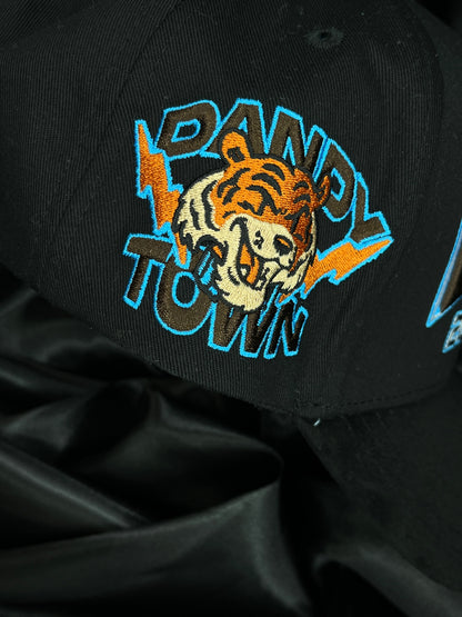 DANDY UNIVERSITY USA